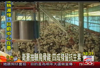 衛署抽驗烏骨雞　4成殘留抗生素