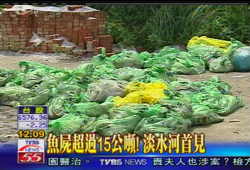 魚屍超過15公噸! 淡水河首見