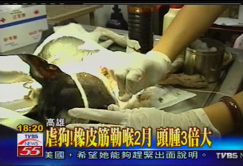 虐狗!橡皮筋勒喉2月 頭腫3倍大