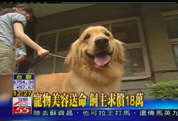 洗澡烘乾 烘死黃金獵犬?飼主求償