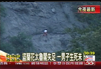 盜蘭花太魯閣失足 一男子生死未卜