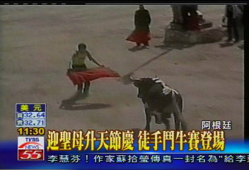 迎聖母升天節慶 徒手鬥牛賽登場