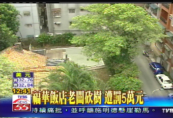 福華飯店老闆砍樹　遭罰5萬元