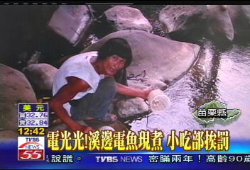 電光光!溪邊電魚現煮 小吃部挨罰