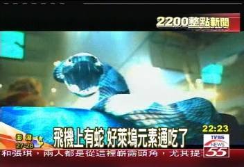 同床異夢 佳偶?怨偶?另類愛情片