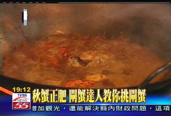 秋蟹正肥 閘蟹達人教你挑閘蟹