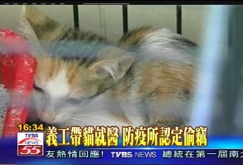義工帶貓就醫 防疫所認定偷竊