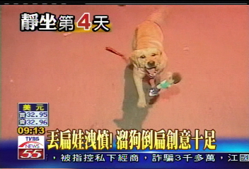 靜坐現場/氣勢高! 民盟鼓樂隊激勵士氣