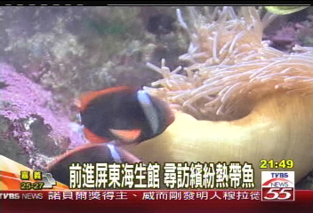 前進屏東海生館　尋訪繽紛熱帶魚