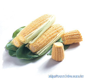 食來運轉/9/21-9/27 處女座吃玉米更抗壓!