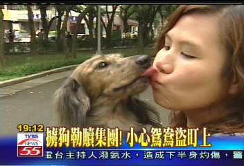 〈獨家〉擄狗勒贖集團! 小心鴛鴦盜盯上