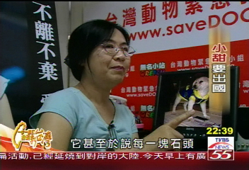 【一步一腳印】為牠們找一個家　永不放棄的守護天使