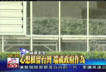 【發現新大陸】台灣蘭花市場土地受限　轉戰大陸