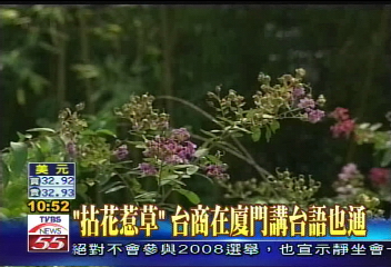 【發現新大陸】「拈花惹草」　台商在廈門講台語也通