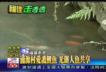 【發現新大陸】六旬老伯護漁拳法　打跑偷魚賊
