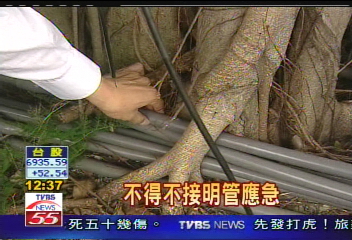 13頂樓榕樹根 穿牆一樓塞水管