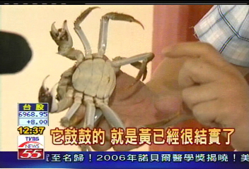 陽澄湖開捕 湖邊吃蟹不怕假