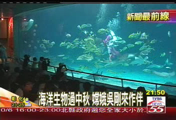端出海鮮蔬菜月餅　魚兒也要過中秋