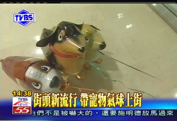 街頭新流行　帶寵物氣球上街