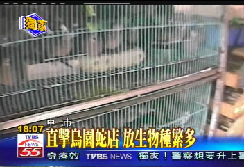 〈獨家〉直擊鳥園蛇店　放生物種繁多