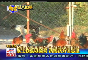〈獨家〉直擊放生園! 難防野狗叼雞鴨