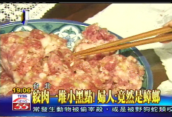 絞肉一堆小黑點！　婦人：竟然是蟑螂
