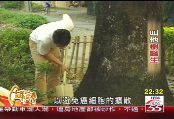 【一步一腳印】為百年老樹「看診」 叫他樹醫生