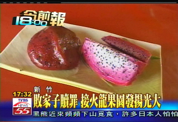敗家子贖罪 接火龍果園發揚光大