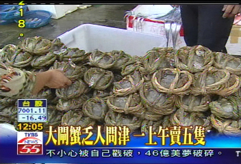 大閘蟹乏人問津一上午賣5隻,地點?