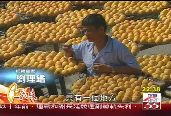 【發現台灣味】堅持手工的古早味 用紅柿餅圓夢(上)