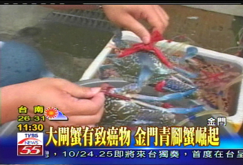 大閘蟹有致癌物 金門青腳蟹崛起