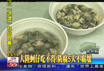 大陸防腐蚵仔低價走私 漁民苦惱