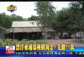 〈獨家〉漂洋柬埔寨種樹淘金? 先繳11萬