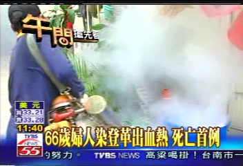 66歲婦人染登革出血熱　死亡首例