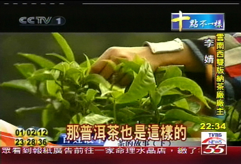 毛澤東也喝 西雙版納老茶廠故事