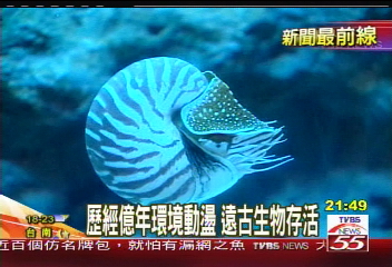 歷經億年環境動盪 遠古生物存活