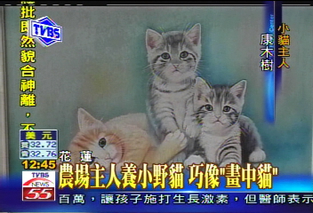 〈獨家〉農場主人養小野貓 巧像「畫中貓」
