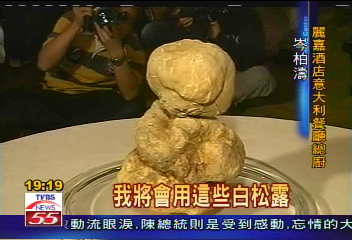 香港富商5百萬 買下野生白松露