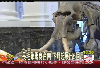 長毛象現身台南 下月起展出5個月
