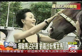 摸駿馬沾好運 劉嘉玲盼奪金馬