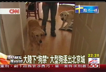 大陸下「狗禁」　大型狗逐出北京城