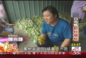【發現台灣味】白布帆軟枝楊桃 李昂屈服的好味道