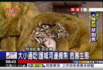 【大陸新聞早點名】大小通吃!護城河邊捕魚 危害生態