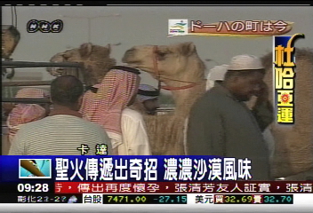 亞運聖火巡迴　卡達駱駝馬隊護送