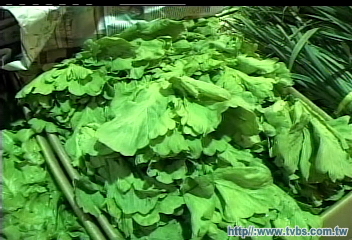 衛署公佈西螺茼蒿 農藥殘留過量