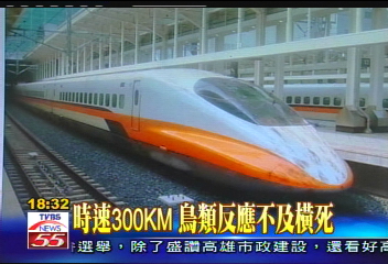 高鐵呼嘯 八卦山鳥類成車頭亡魂