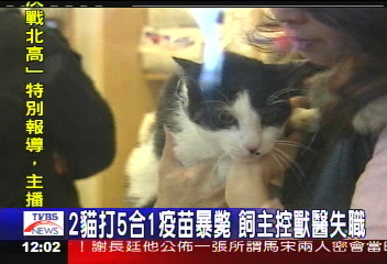 2貓打5合1疫苗暴斃　飼主控獸醫失職