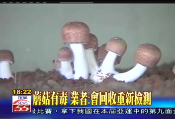 巴西蘑菇含超量重金屬 業者喊冤