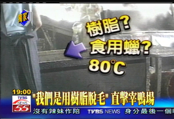 〈獨家〉「我們是用樹脂脫毛」 TVBS直擊宰鴨場