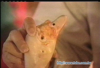 瀝青鴨皮最毒？　烤鴨老饕「心驚驚」